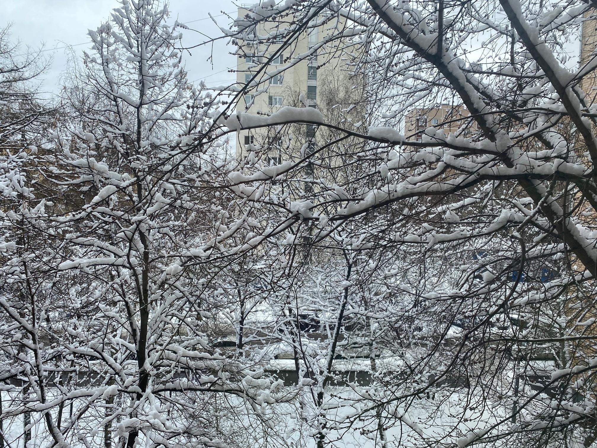 В метеообсерватории МГУ зафиксирована рекордная высота снежного покрова