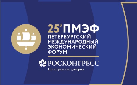 С.В. Кибальников  принял участие в работе  XXV Петербургского международного экономического форума