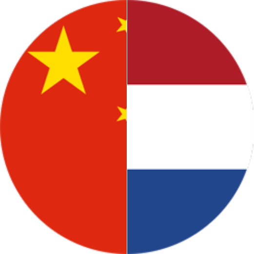 Транспортный семинар: Китай и Нидерланды