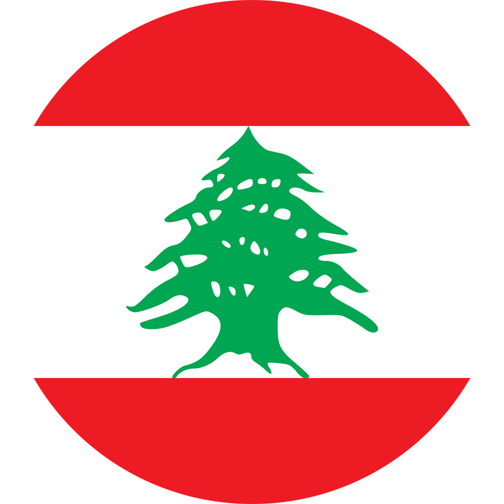 Страноведение и страновидение: Ливан