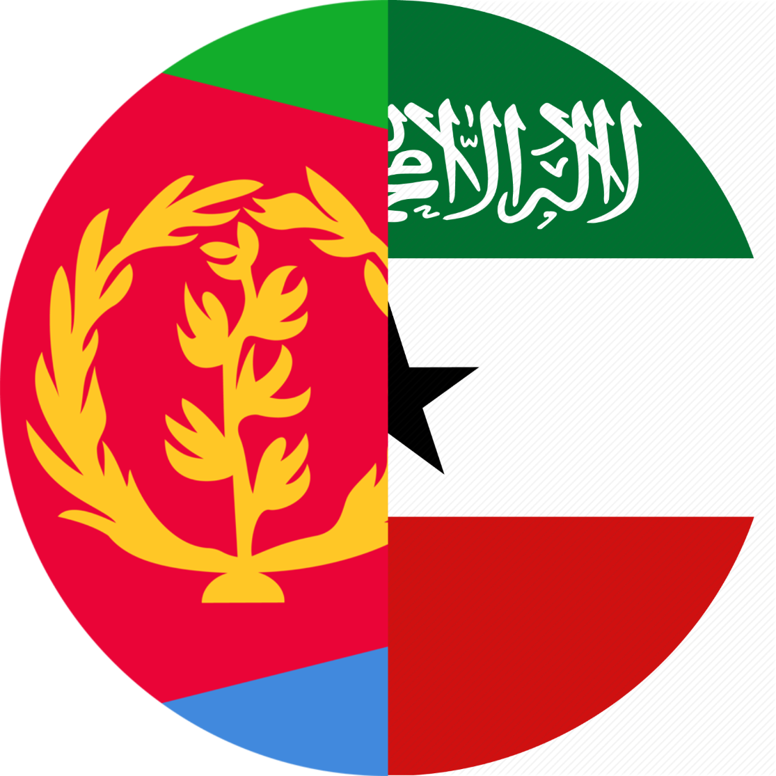Страноведение и страновидение: Эритрея и Сомалиленд