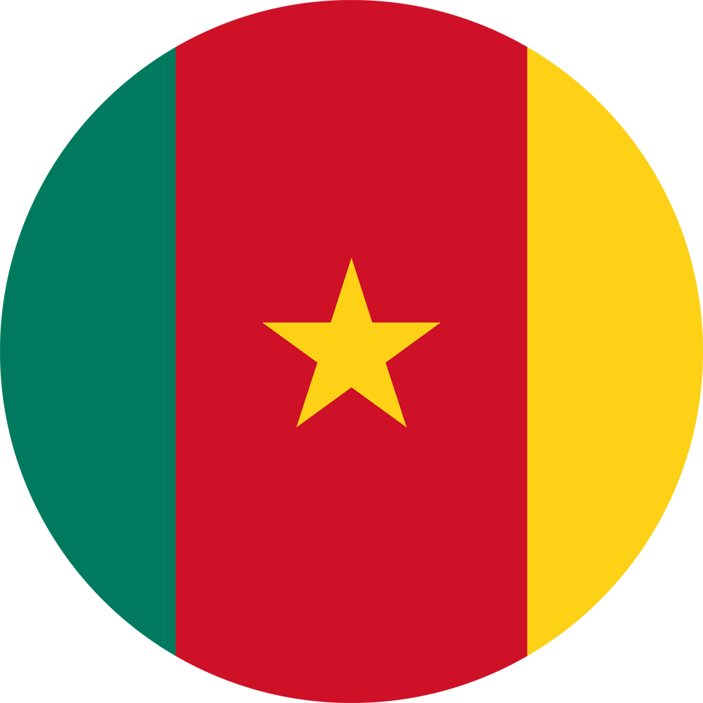 Политико-географический семинар: Камерун
