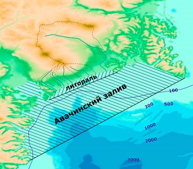 Результаты экспедиции РГО подтвердили природную причину экологической катастрофы на Камчатке 