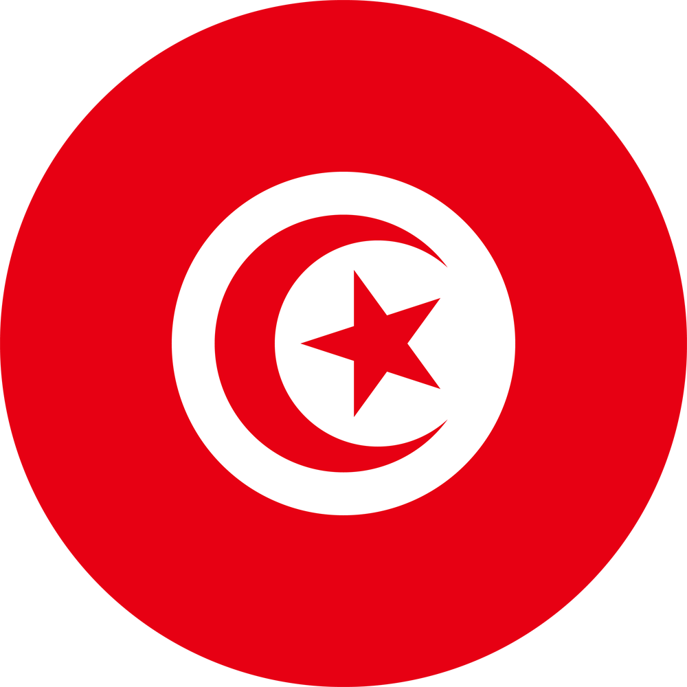 Политико-географический семинар: выборы в Тунисе