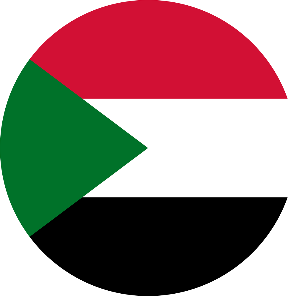 Политико-географический семинар: Судан
