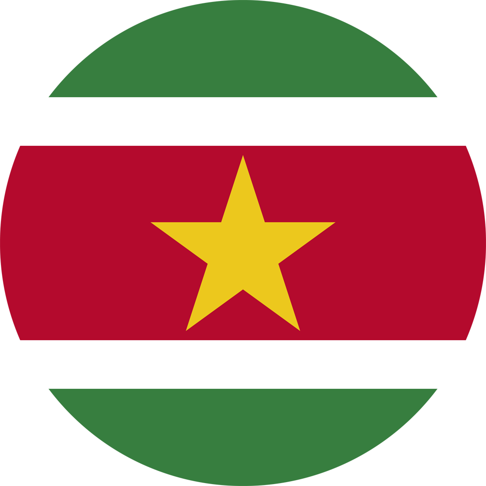 Политико-географический семинар: Суринам