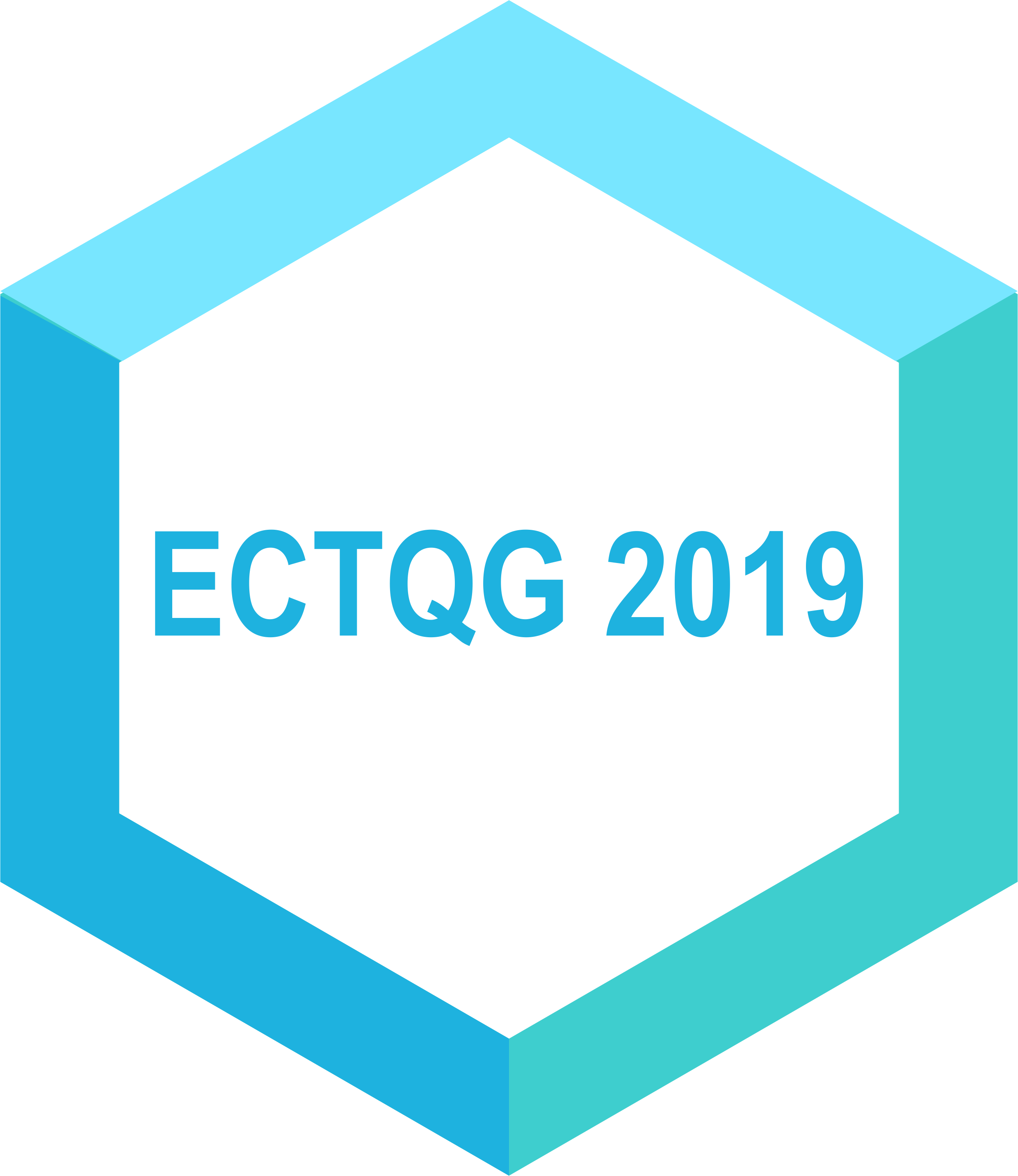 Конференции: ECTQG 2019