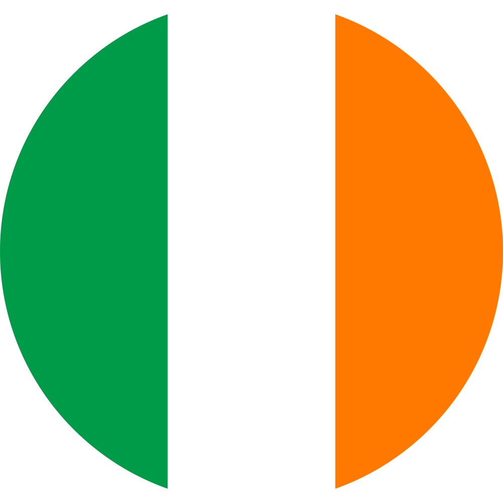 Политико-географический семинар: Референдум в Ирландии