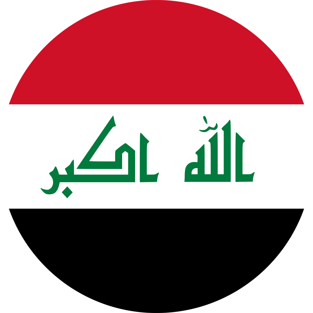 Политико-географический семинар: Парламентские выборы в Ираке