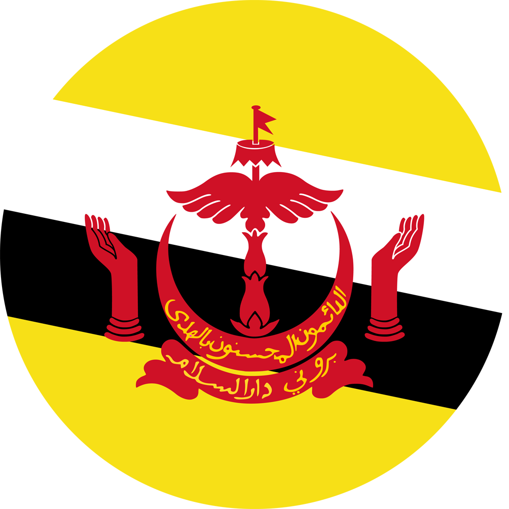 Политико-географический семинар: Бруней