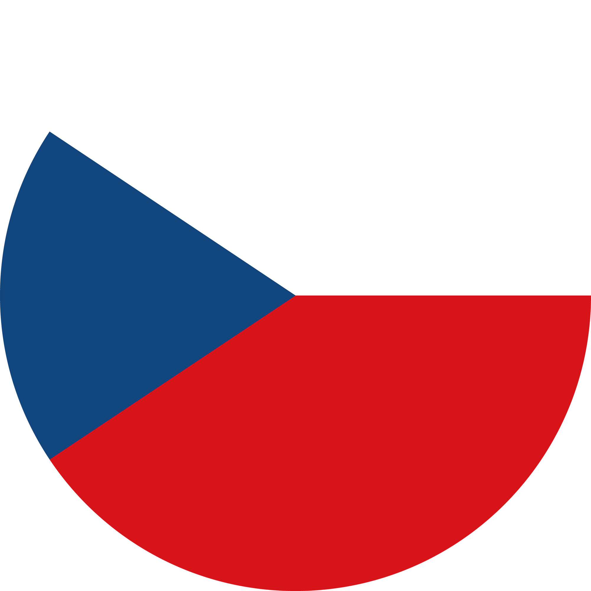 Политико-географический семинар: Итоги парламентских выборов в Чехии